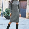 Charcoal Grey Roll Neck Rib Jumper Dress 2 Charcoal Grey Roll Neck Rib Jumper Dress -MIDI Clothing Shop web 81 a21dk504gy s21fw004gy 134